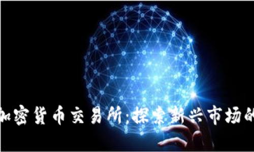 : 毛里求斯加密货币交易所：探索新兴市场的机会与挑战