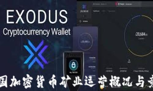 
全球各国加密货币矿业运营概况与竞争分析