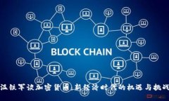 温铁军谈加密货币：新经